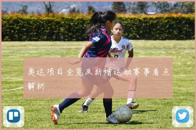 奥运项目全览及新增运动赛事看点解析