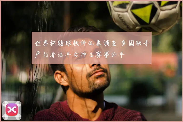 世界杯赌球软件乱象调查 多国联手严打非法平台冲击赛事公平