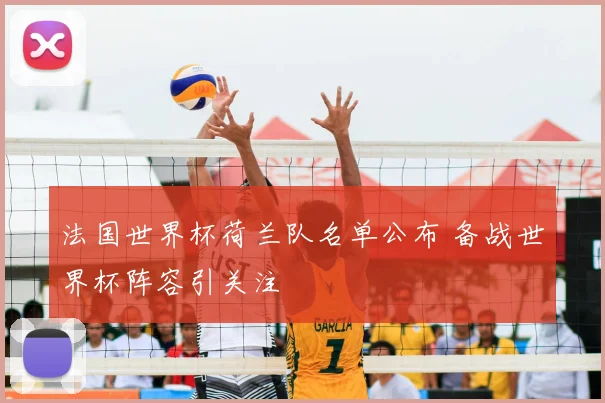 法国世界杯荷兰队名单公布 备战世界杯阵容引关注