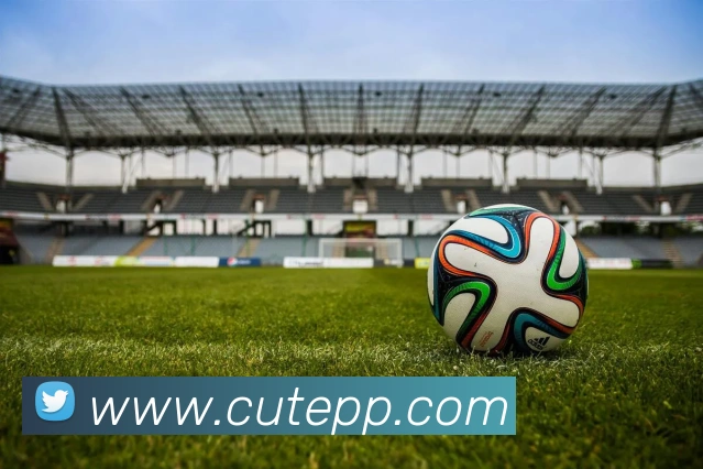 K1体育十年品牌值得信赖官网入口平台生态图