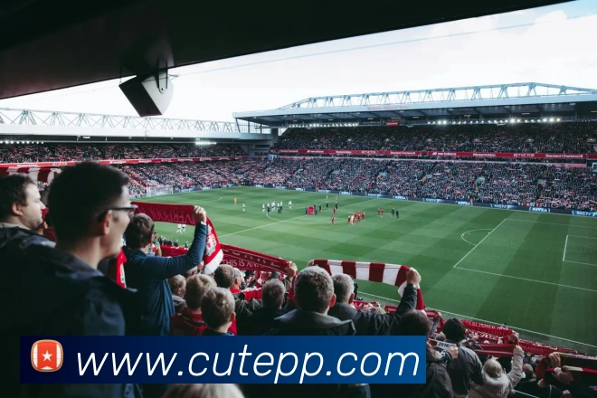 K1体育十年品牌值得信赖官网入口全站App K1体育十年品牌值得信赖官网入口全站App